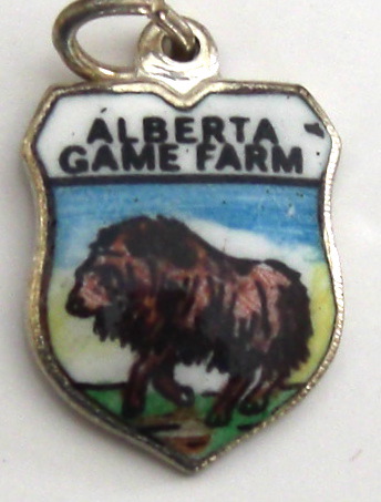 cimg9754.jpg
