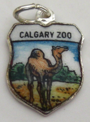 cimg9795.jpg
