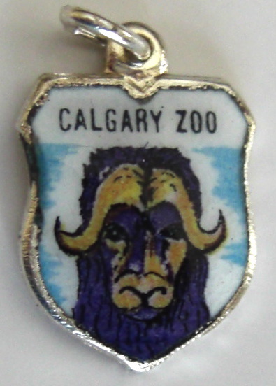 cimg9808.jpg