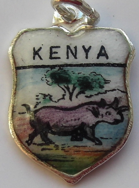 Kenya AFRICA Rhino Vintage Silver Enamel Travel Shield Charm