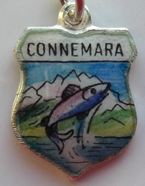 IRELAND CONNEMARA Fish Vintage Silver Enamel Travel Shield Charm