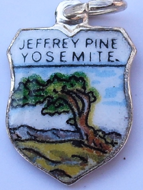 California - Yosemite National Park - Jeffrey Pine, Sentinel Dome 2 - Vintage Enamel Travel Shield Charm
