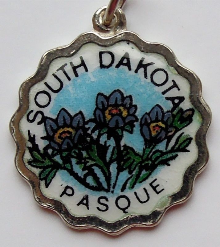 Vintage Enamel Travel Charm - Scalloped Round Edge - South Dakota - Pasque Flower - Click Image to Close